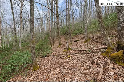 Lot 8 Heavenly Mountain Drive, Boone, NC 28607 - Photo 7