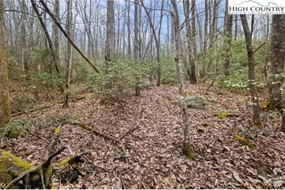 Lot 8 Heavenly Mountain Drive, Boone, NC 28607 - Photo 9