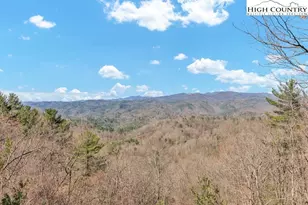 2095 Elk Ridge Rd, Ferguson, NC 28625 - Photo 11