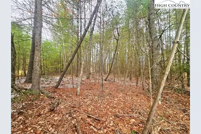 51 Peaceful Meadows, Piney Creek, NC 28663 - Photo 15