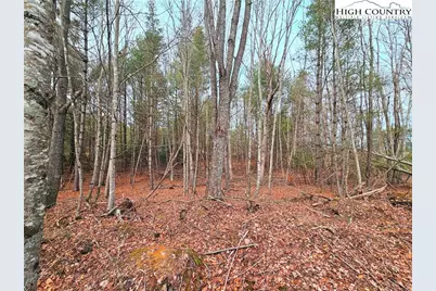 51 Peaceful Meadows, Piney Creek, NC 28663 - Photo 5