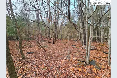 51 Peaceful Meadows, Piney Creek, NC 28663 - Photo 7