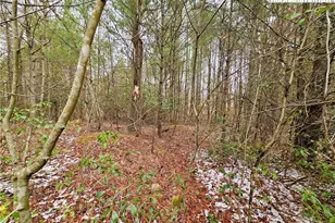 Tbd W Mill Creek Rd, Warrensville, NC 28643 - Photo 1