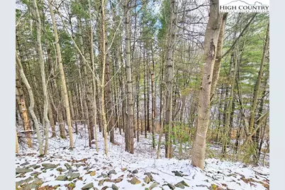 Tbd W Mill Creek Rd, Warrensville, NC 28643 - Photo 5