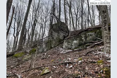 1275 Big Windfall Road, Lansing, NC 28643 - Photo 37