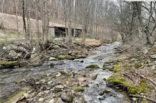 1275 Big Windfall Rd, Lansing, NC 28643 - Photo 1