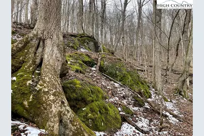 1275 Big Windfall Road, Lansing, NC 28643 - Photo 35