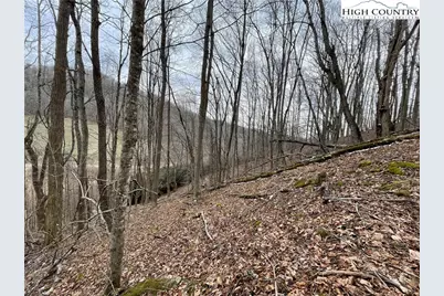 1275 Big Windfall Road, Lansing, NC 28643 - Photo 39