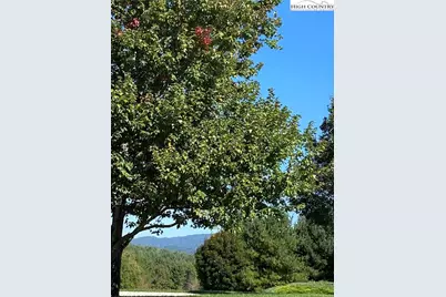 Lot 23 Bear Den Road, Sparta, NC 28675 - Photo 3