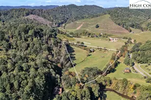 1946 River Breeze Dr, Creston, NC 28615 - Photo 39