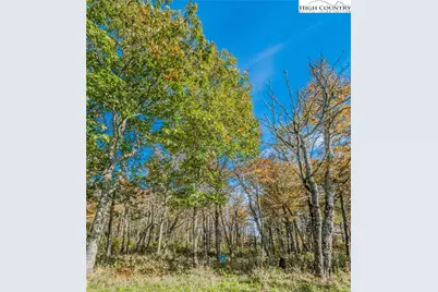 Lot 196 Green Cliffs Road, Sugar Mountain, NC 28657 - Photo 9