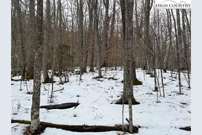 Tract 3 Mountain Vista Lane, Banner Elk, NC 28604 - Photo 11