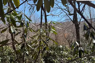 Tract 3 Mountain Vista Ln, Banner Elk, NC 28604 - Photo 1