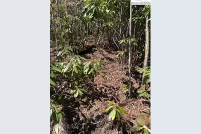 Tract 3 Mountain Vista Lane, Banner Elk, NC 28604 - Photo 9