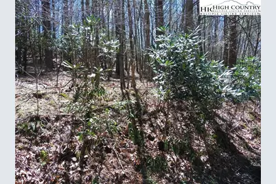 Lot 62 Sams Drive, Fleetwood, NC 28626 - Photo 3