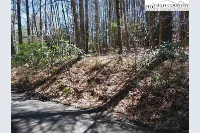 Lot 62 Sams Drive, Fleetwood, NC 28626 - Photo 5
