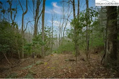 288 Poplar Drive, Beech Mountain, NC 28604 - Photo 3