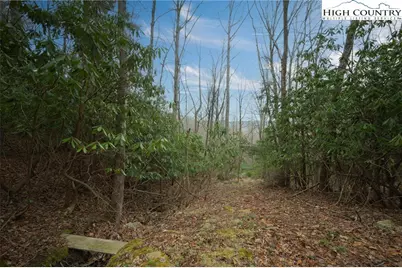 288 Poplar Drive, Beech Mountain, NC 28604 - Photo 17