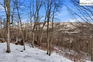 323 Sugar Tree Ln, Sugar Mountain, NC 28604 - Photo 37