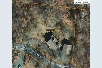 323 Sugar Tree Lane, Sugar Mountain, NC 28604 - Photo 43