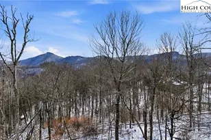 323 Sugar Tree Ln, Sugar Mountain, NC 28604 - Photo 43