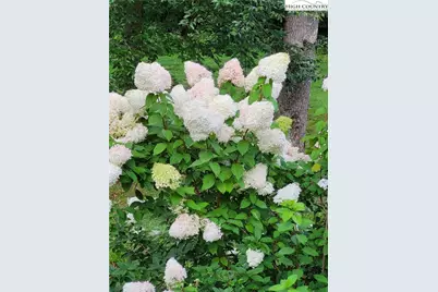 323 Sugar Tree Lane, Sugar Mountain, NC 28604 - Photo 49