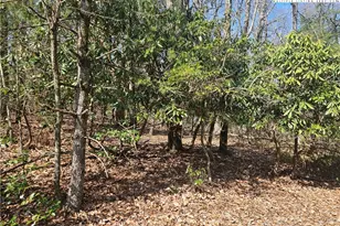Tbd Mount Retreat Rd, Roaring Gap, NC 28668 - Photo 1
