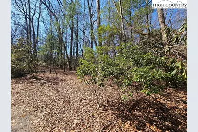Tbd Mount Retreat Road, Roaring Gap, NC 28668 - Photo 3