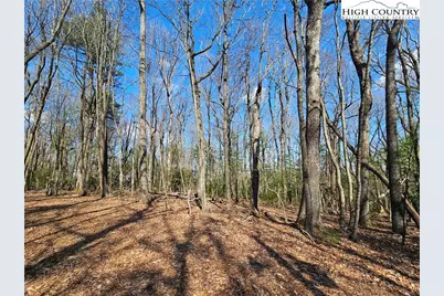 Tbd Mount Retreat Road, Roaring Gap, NC 28668 - Photo 9