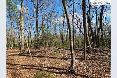 Tbd Mount Retreat Road, Roaring Gap, NC 28668 - Photo 13