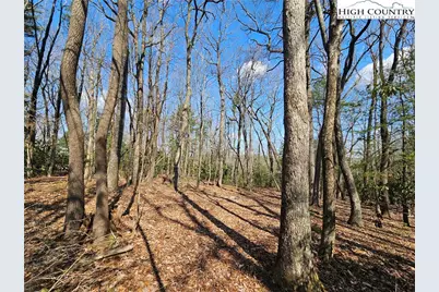 Tbd Mount Retreat Road, Roaring Gap, NC 28668 - Photo 15