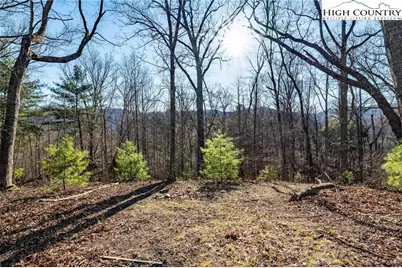 Tbd Lonesome Pine Trail, Butler, TN 37640 - Photo 27