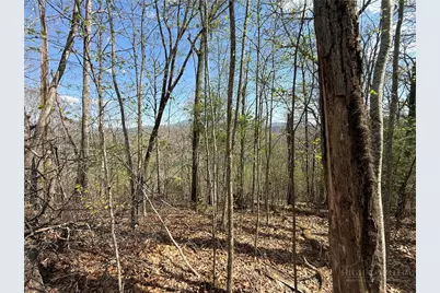 Tbd Lonesome Pine Trail, Butler, TN 37640 - Photo 37