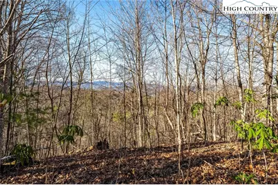 Tbd Lonesome Pine Trail, Butler, TN 37640 - Photo 25
