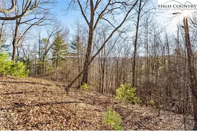 Tbd Lonesome Pine Trail, Butler, TN 37640 - Photo 23