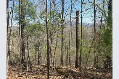 Tbd Lonesome Pine Trail, Butler, TN 37640 - Photo 39