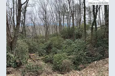 Tbd Wonderland Trail, Blowing Rock, NC 28605 - Photo 9
