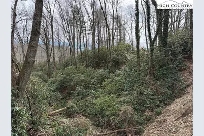 Tbd Wonderland Trail, Blowing Rock, NC 28605 - Photo 1