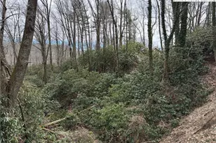 Tbd Wonderland Trail, Blowing Rock, NC 28605 - Photo 1