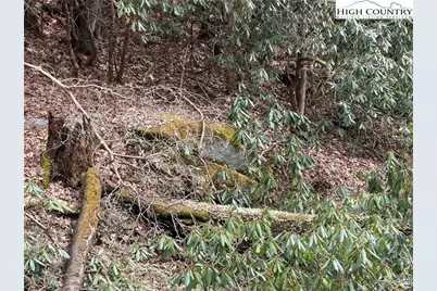 Tbd Wonderland Trail, Blowing Rock, NC 28605 - Photo 7