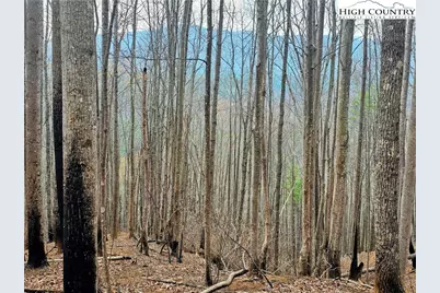 Lot 61 Tomahawk Ridge Drive, Collettsville, NC 28611 - Photo 7