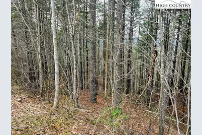 Lot 55 Tomahawk Ridge Drive, Collettsville, NC 28611 - Photo 5