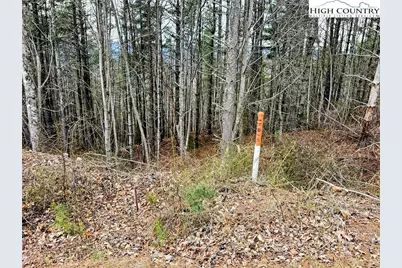 Lot 55 Tomahawk Ridge Drive, Collettsville, NC 28611 - Photo 9