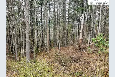 Lot 55 Tomahawk Ridge Drive, Collettsville, NC 28611 - Photo 3