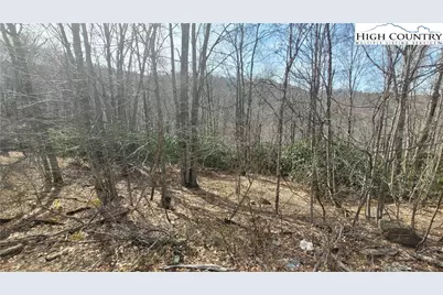 327 Locust Ridge Road, Beech Mountain, NC 28604 - Photo 5