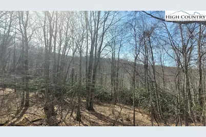 327 Locust Ridge Road, Beech Mountain, NC 28604 - Photo 7