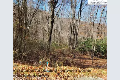 327 Locust Ridge Road, Beech Mountain, NC 28604 - Photo 21