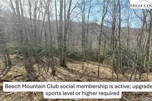 327 Locust Ridge Rd, Beech Mountain, NC 28604 - Photo 1