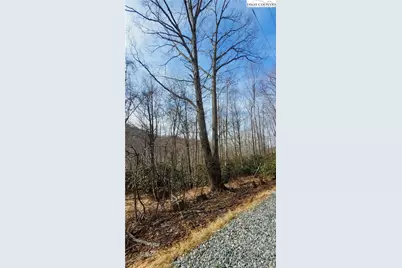 327 Locust Ridge Road, Beech Mountain, NC 28604 - Photo 25