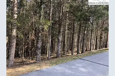 Tract 101 Valle Cay Drive, Vilas, NC 28692 - Photo 5
